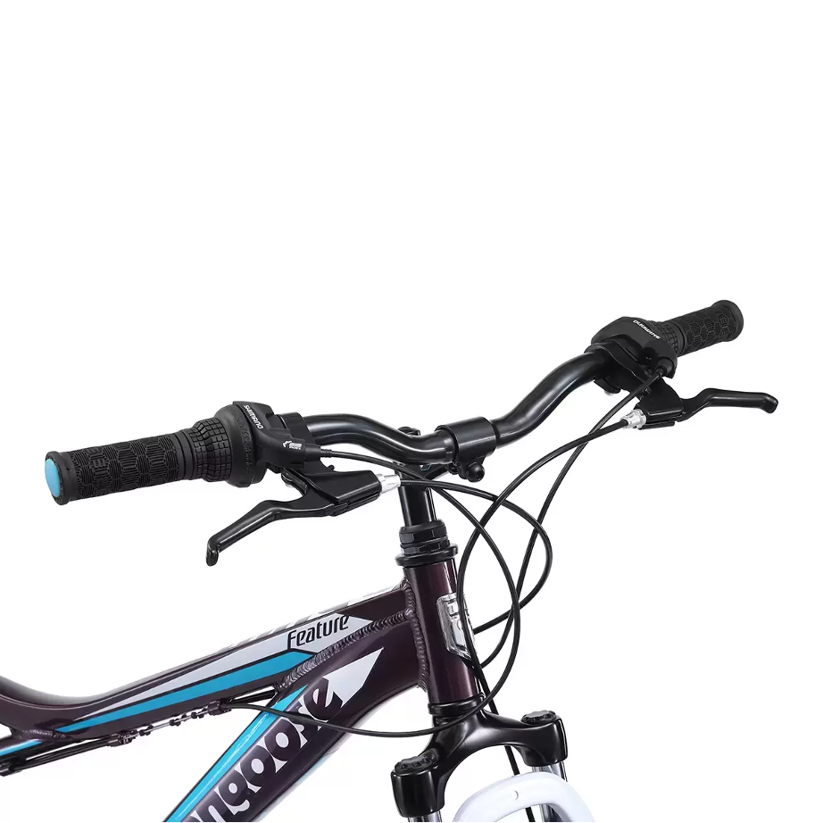 Mongoose top element bicycle